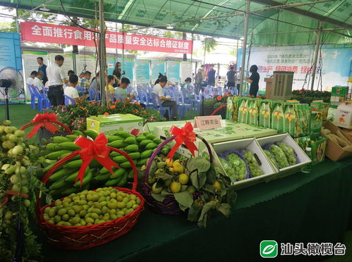 守护舌尖安全，助力乡村振兴——50多家企业承诺“不安全不上市”彰显责任担当